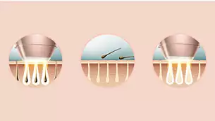 EyeBrow